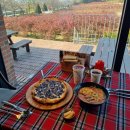 부발중앙로 | 더반올가닉 이천 브런치카페 대형 뷰맛집 원탑