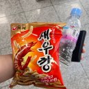단양경찰서 | 단양 패러에 반하다 - 체험 코스, 비용, 내돈내산 패러글라이딩 체험 후기🪂