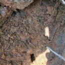 반제농장 이미지