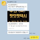 부산펫택시그린 | 부산펫택시 펫렛펫택시 위탁미용 내돈내산 이용후기
