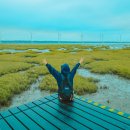 J반 중국어 중급 | J들은 질색할 대문자 P의 무계획 타이중 가오슝 斗六 일주일 대만 여행후기