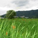 진군농장 이미지