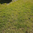 헤이리 낙지생각 이미지