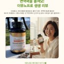 땡큐소머치 | [공지] 프로폴리스 앨더베리 면역 시너지 캐나다 영양제 이뮤노프로 추천 후기 모음