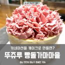 보드레빵 | 천안 뚜쥬루 빵돌가마마을 내돈내산 후기 | 돌가마만주, 거북이빵, 카네이션 보드레
