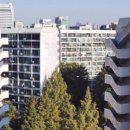 참좋은아파트 앞 이미지