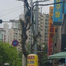 사창동중앙경로당 이미지