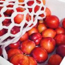 호준농장2 이미지