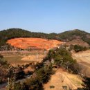 임해로(동) 이미지