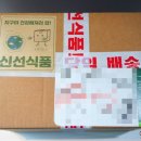 내 몸 독소배출! 원데이 클렌즈 쥬스 (해독쥬스) 디톡스 후기!(다이어트 식단)