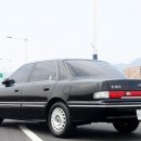 다이너스티 이미지