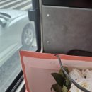 나도작가-말글쓰기(야간) | 3월 초 노을공원 웨딩촬영 서울 스냅 후기[미미삼림 튤립작가님]