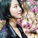 파란헤어잠실 이미지