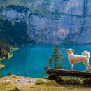 열공학원 이미지