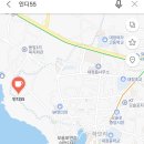 인디55 이미지