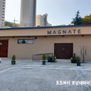 매그네이트 이미지