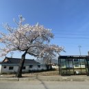 경주 대추밭백한의원 5대 한의사 진맥 웨이팅 주차 정보 한약