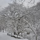 강천산군립공원 이미지
