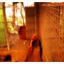 파랑새휴게소 이미지