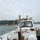 마을물고기 - 은평구 응암로14길 1-2 | [당진] 왜목마을 좌대낚시 후기: 넓은 공간에 에어컨도 있는 좌대낚시 추천