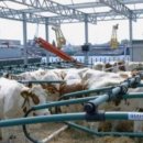 수상목장 이미지