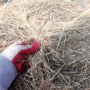 볏짚농장 이미지