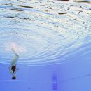 금빛메디컬 이미지