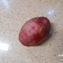 시온농산