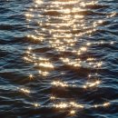 중앙당안경원 이미지