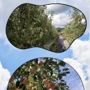 김정기농장 이미지