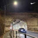 땡주 | 2025 Jan. #3 끝없는 추락은 아프지 않단 걸