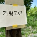 좋은직업재활센터 이미지