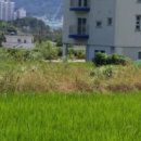 오비초등학교 병설유치원 이미지