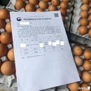 안씨농장 이미지