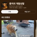 개팔상팔 | 뭉치 뭉치의개팔상팔 개플루언서 만남 후기