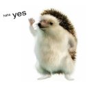 테슬라코리아유한회사 | 테슬라 모델Y 구매 후기 주문 방법부터 옵션 선택까지 정리