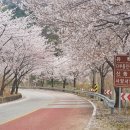 승우농원 네이버블로그