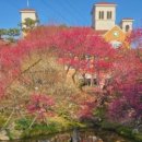 버스정류소_주공 2단지 이미지