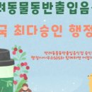 행정사사무소505 이미지