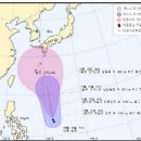 (주)피토