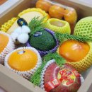 신진가스 이미지