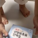 우리아이 어린이집 시설 경계 10미터 | 성장기 우리 아이 영양간식, 키즈 초유산양유 단백질 솔직 후기
