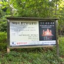 남부순환로328길 49__ 이미지