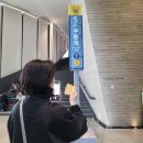 떠껀떠껀한 날씨가 오고 있다. (5월 돌아보기)