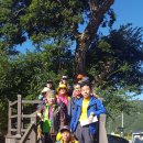 도일경로당 이미지