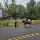 근원목장 | 겨울 대만 여행(3) : 타이중 동해대/루스예배당/펑지아야시장