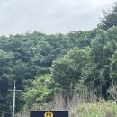 [충주 펫트리파크]
