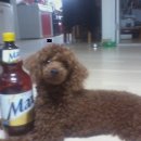 은아네집 이미지