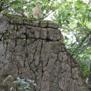 도마치계곡 이미지