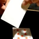 엘앤엠(L&M)